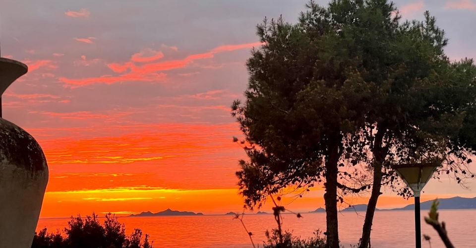 IMG-20250703-WA0009 (1)